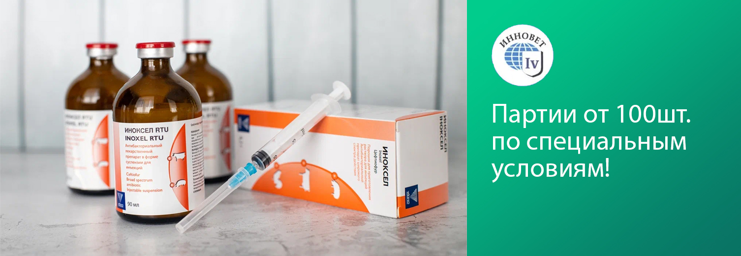 Иноксел (Inoxel) - полная инструкция по применению лекарственного препарата, основные особенности и рекомендации Иноксел (Inoxel): инструкция по применению, особенности препарата